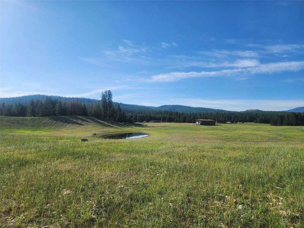 Photo of 146 Discovery Loop, Marion, MT 59925 (MLS # 30066416)