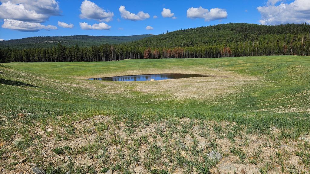 Photo of 146 Discovery Loop, Marion, MT 59925 (MLS # 30066416)