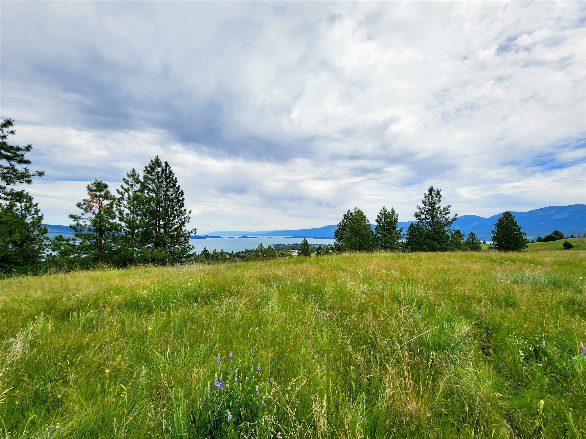 Polson, Montana 59860, United States, ,Land,Pending,62484