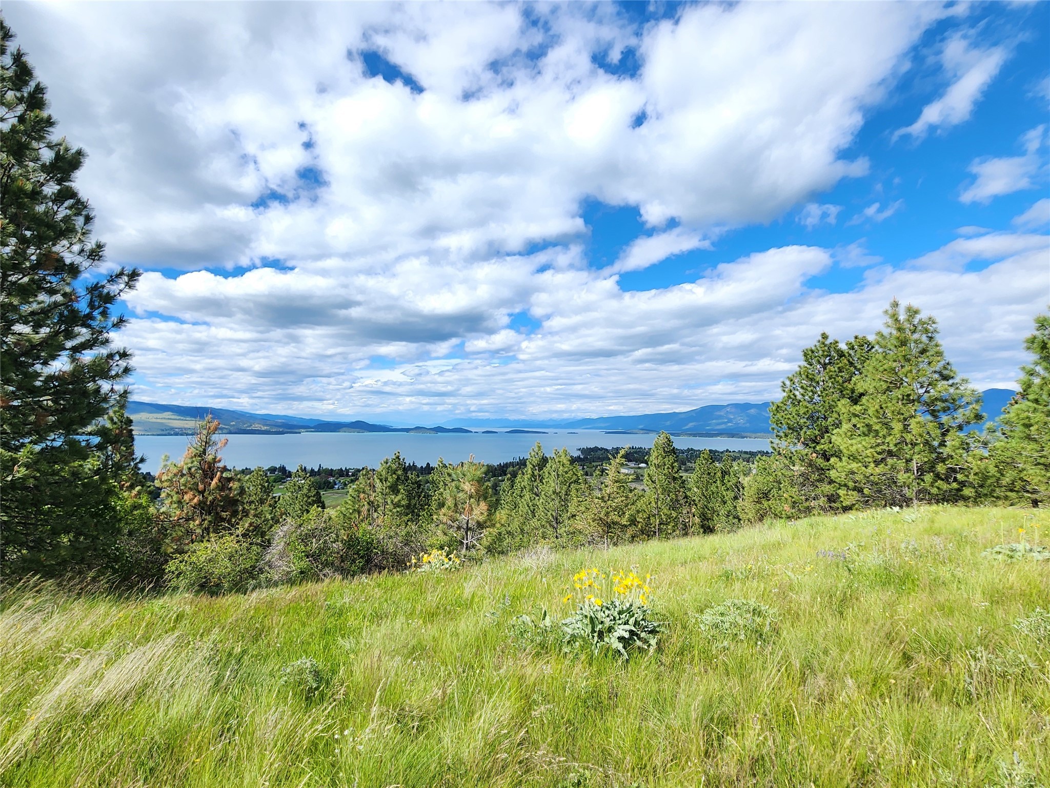 Polson, Montana 59860, United States, ,Land,Pending,62484