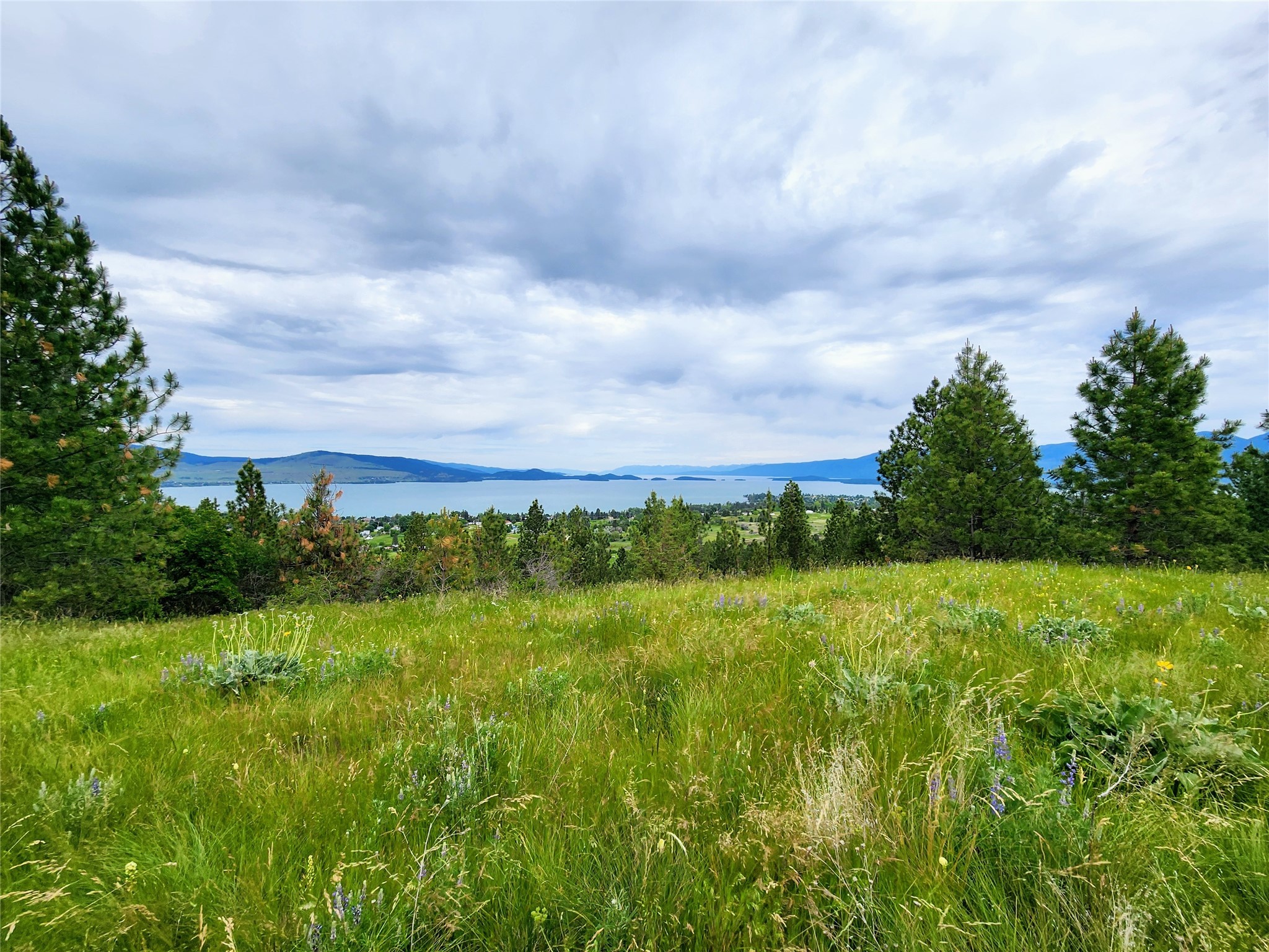 Polson, Montana 59860, United States, ,Land,Pending,62484