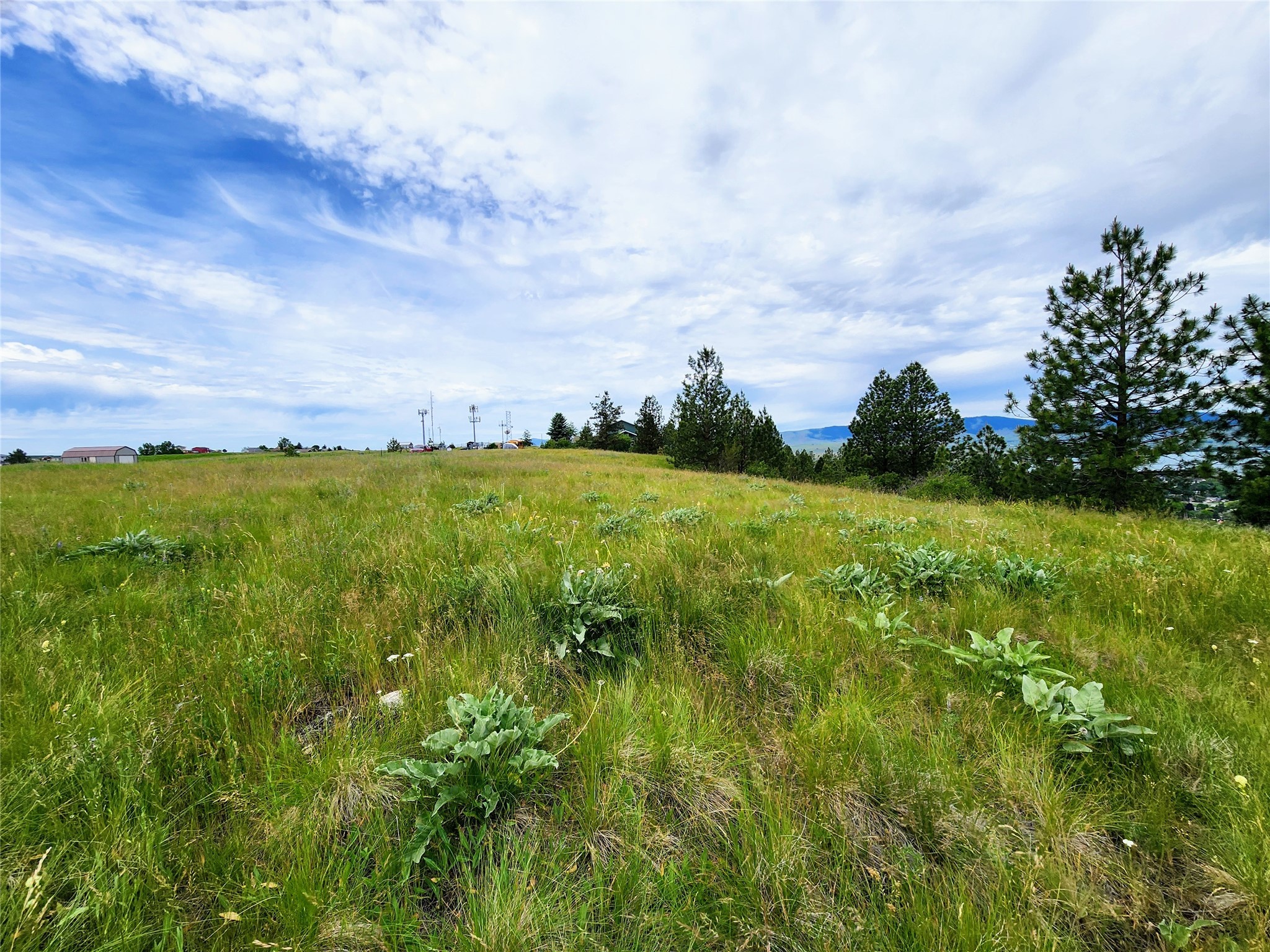 Polson, Montana 59860, United States, ,Land,Pending,62484