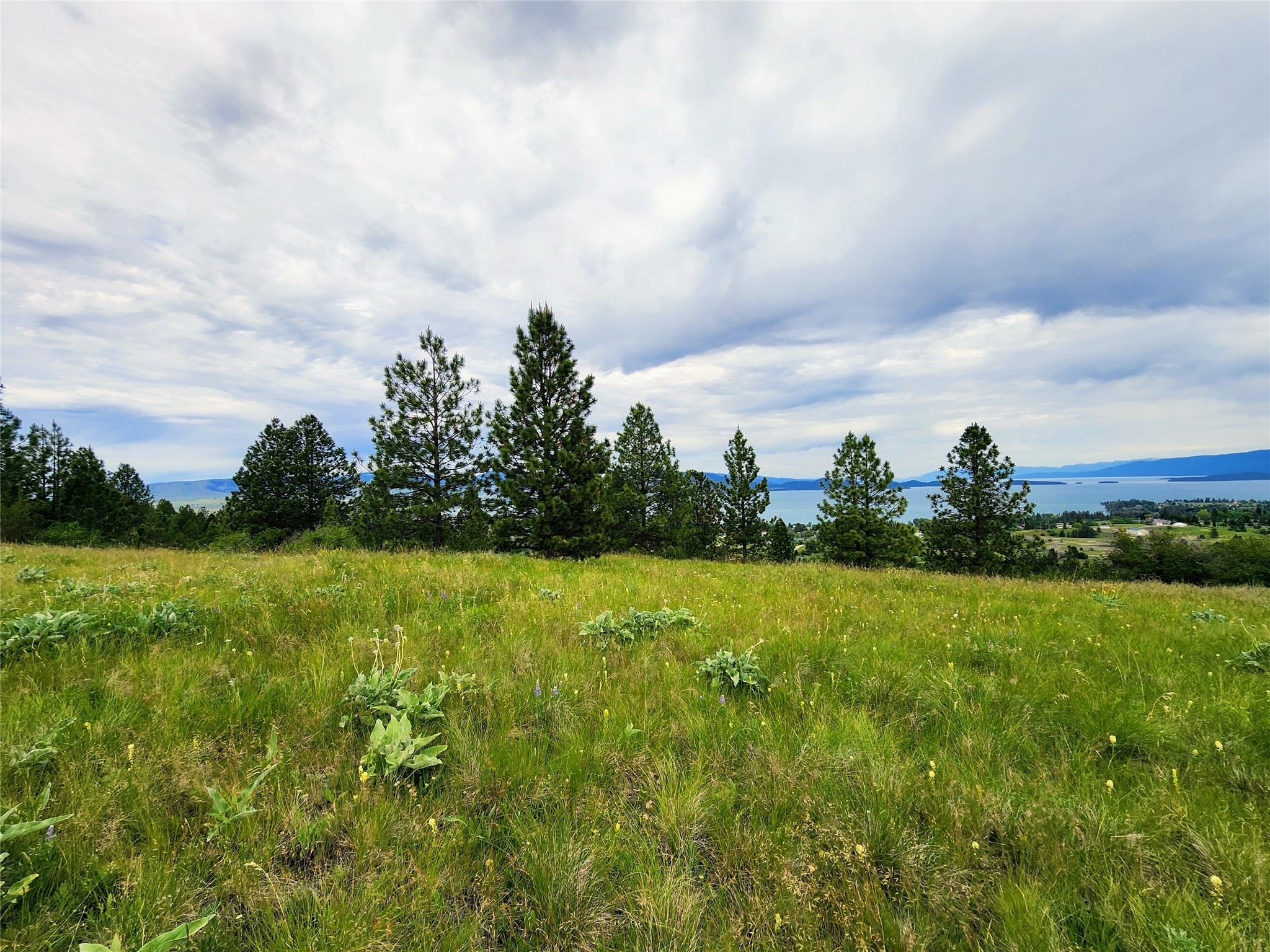 Polson, Montana 59860, United States, ,Land,Pending,62484
