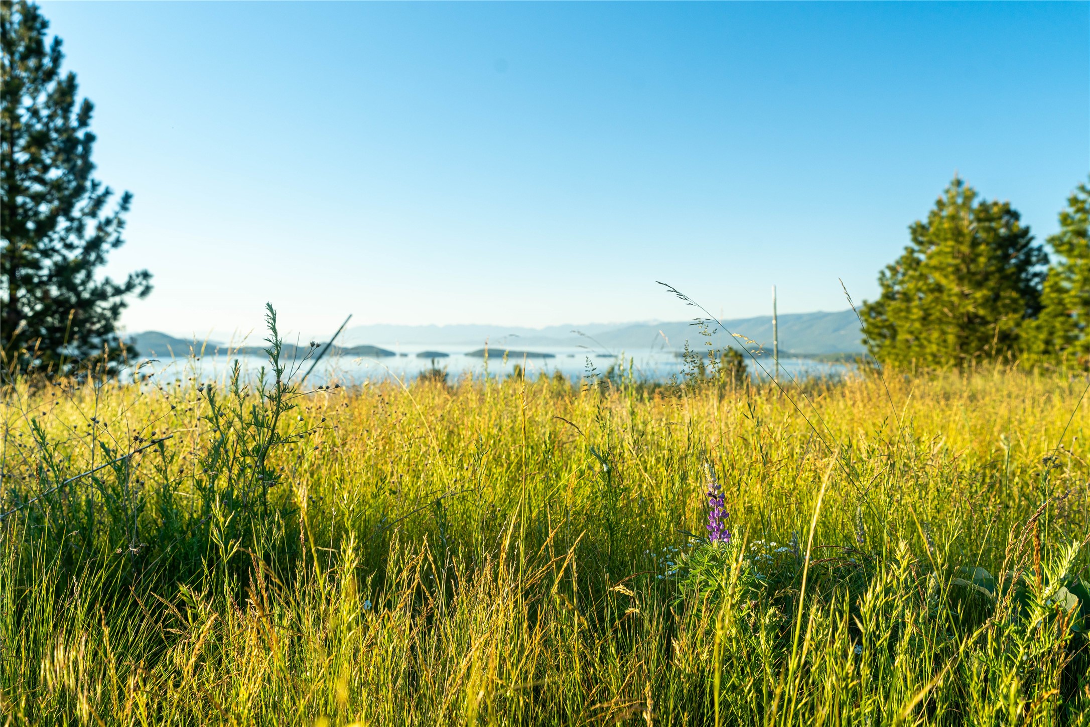 Polson, Montana 59860, United States, ,Land,Pending,62484