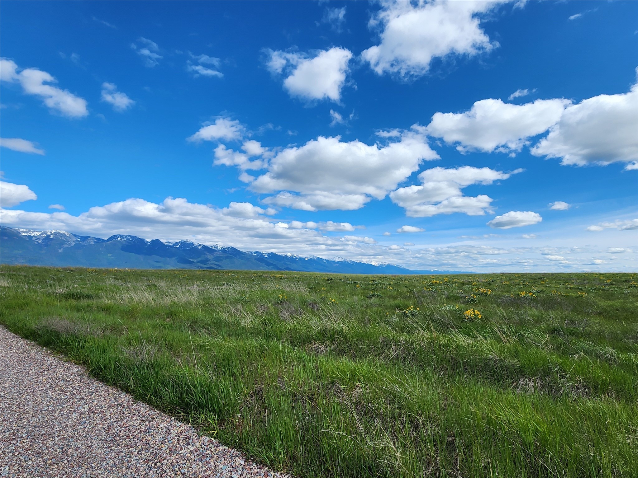 Polson, Montana 59860, United States, ,Land,Pending,62484