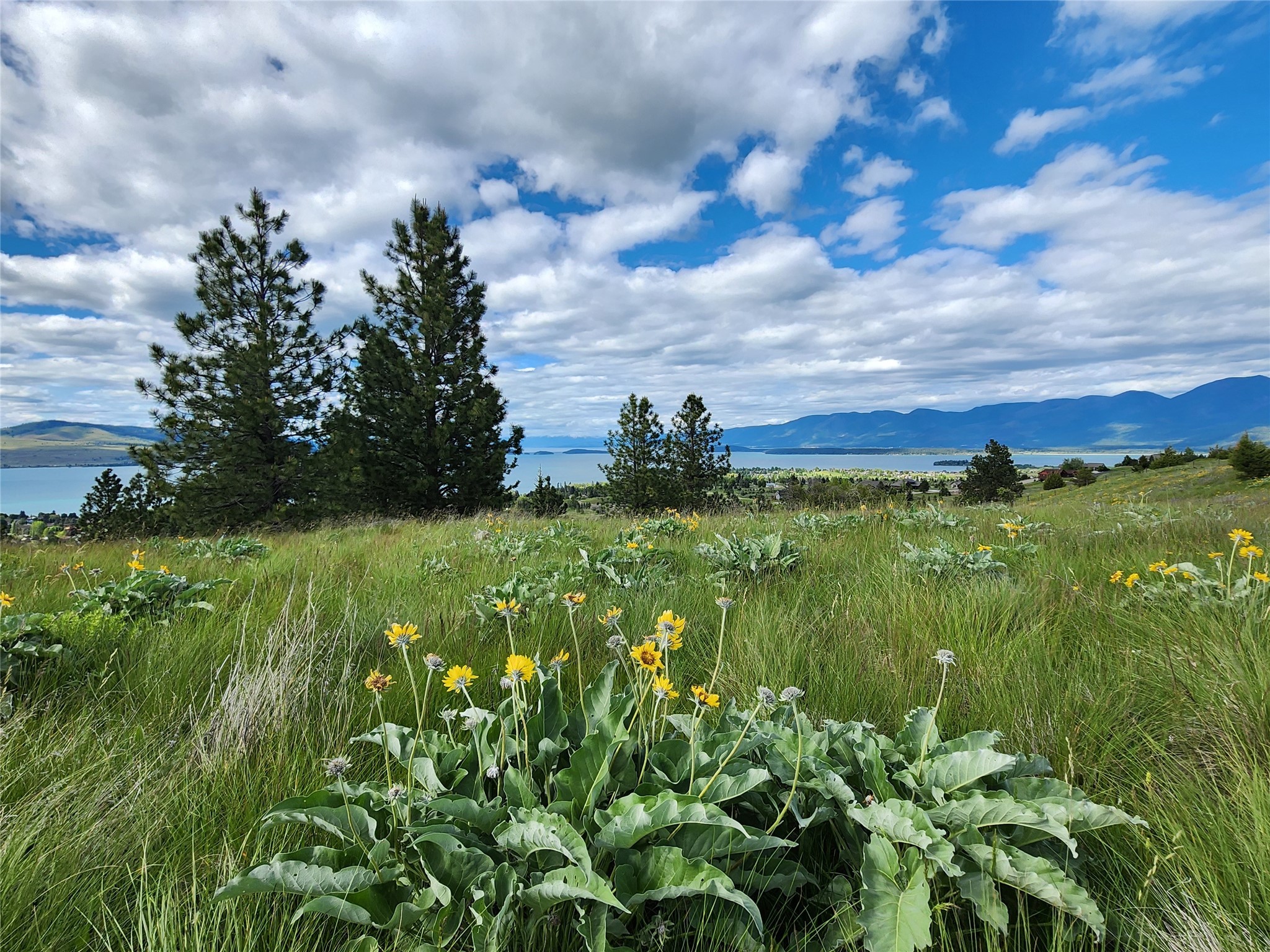 Polson, Montana 59860, United States, ,Land,Pending,62484