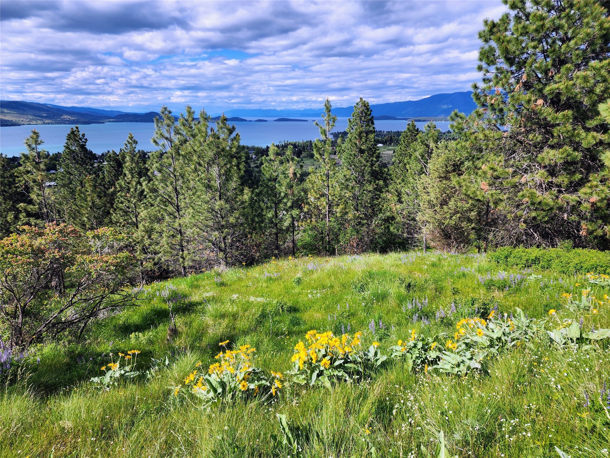 Polson, Montana 59860, United States, ,Land,Pending,62484