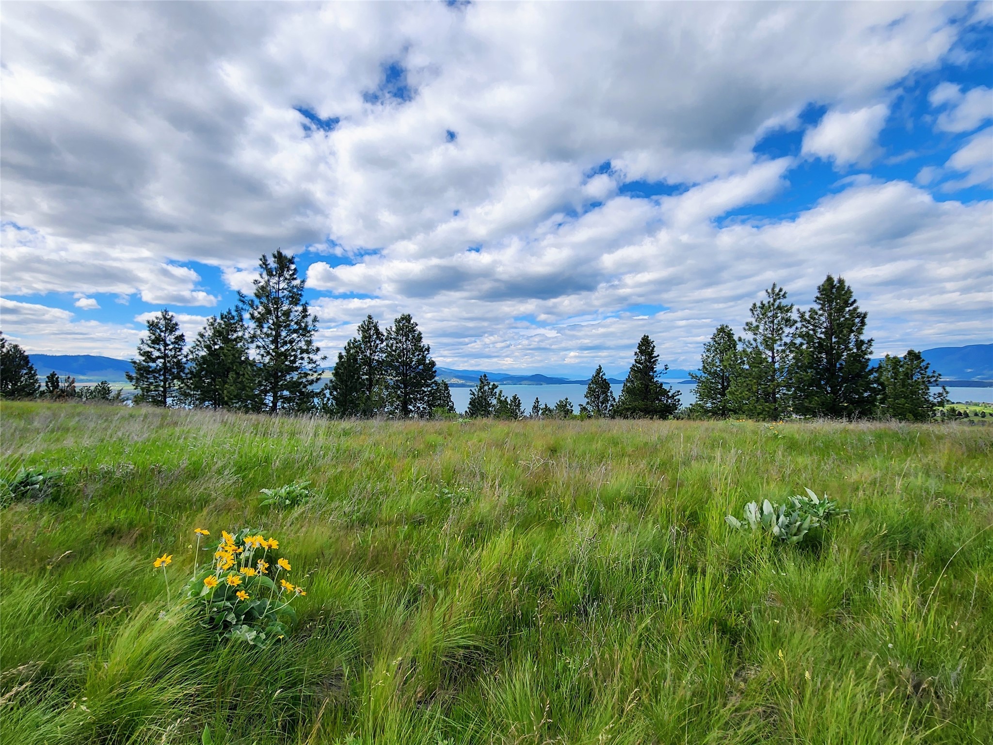 Polson, Montana 59860, United States, ,Land,Pending,62484