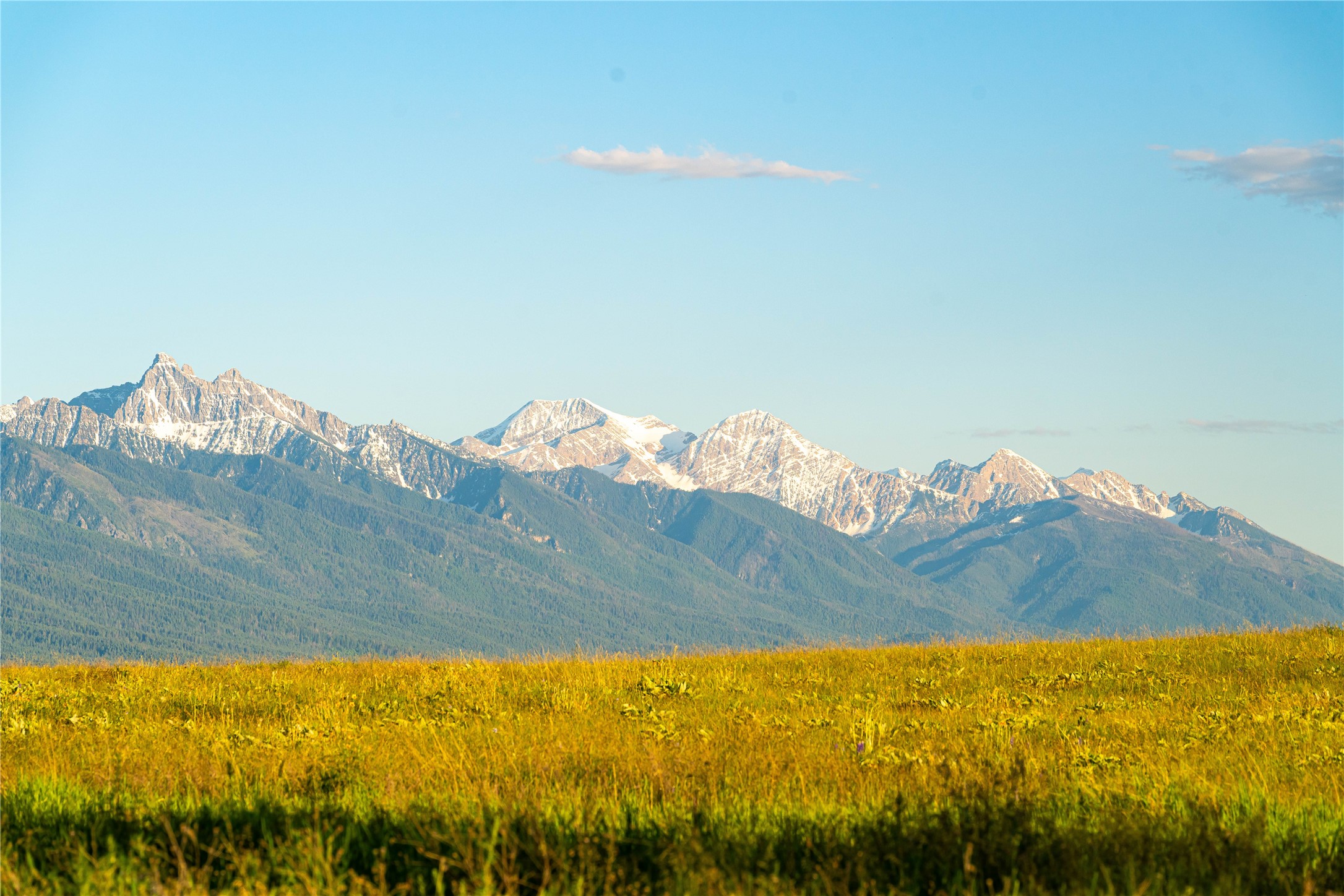 Polson, Montana 59860, United States, ,Land,Pending,62484