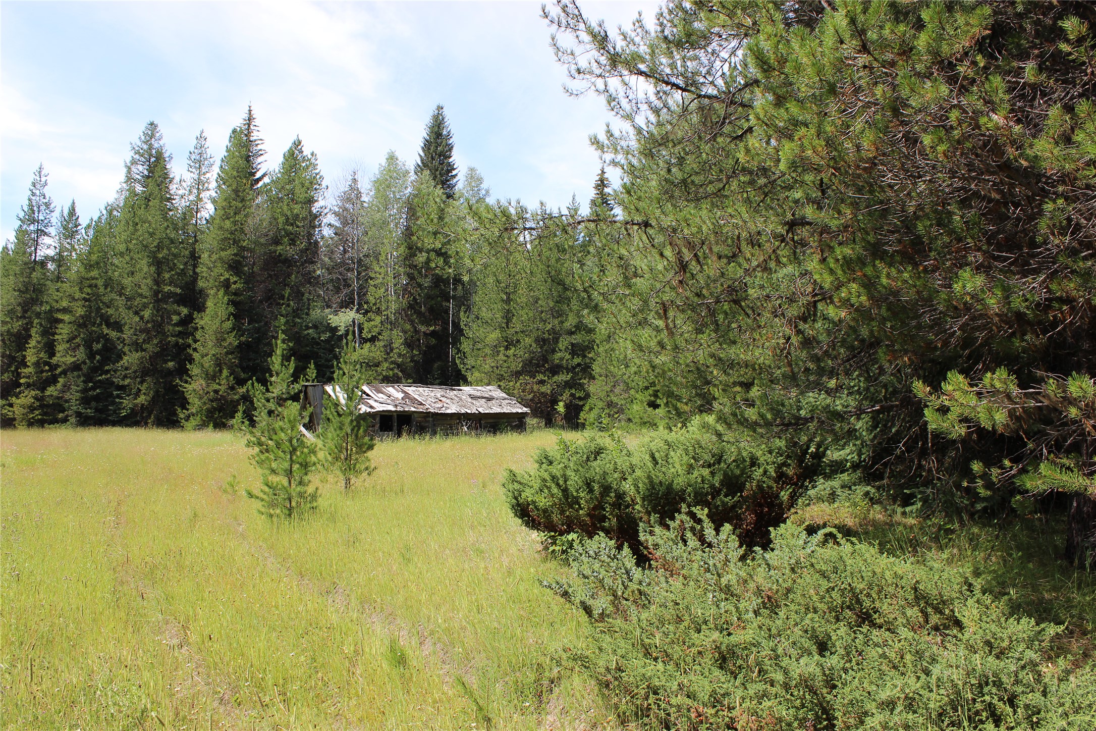 3380 Swamp Creek Road