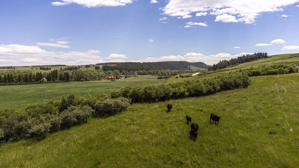 Photo of 6058 Cottonwood Creek Road, Lewistown, MT 59457 (MLS # 30073862)