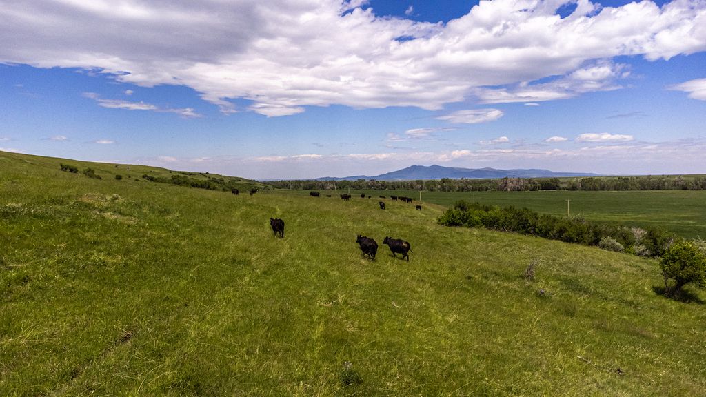 Photo of 6058 Cottonwood Creek Road, Lewistown, MT 59457 (MLS # 30073862)