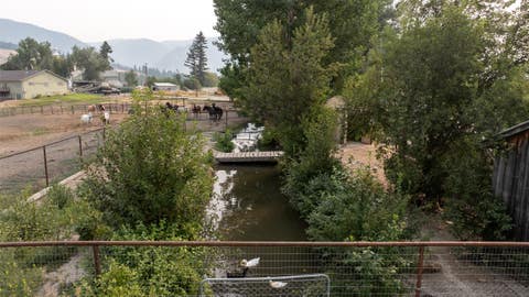 Tiny photo for 14655 Hamel Road, Frenchtown, MT 59834 (MLS # 30076760)