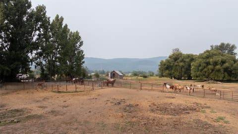 Tiny photo for 14655 Hamel Road, Frenchtown, MT 59834 (MLS # 30076760)