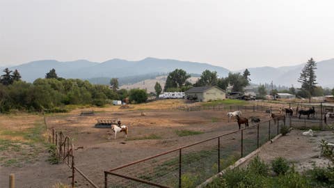 Tiny photo for 14655 Hamel Road, Frenchtown, MT 59834 (MLS # 30076760)