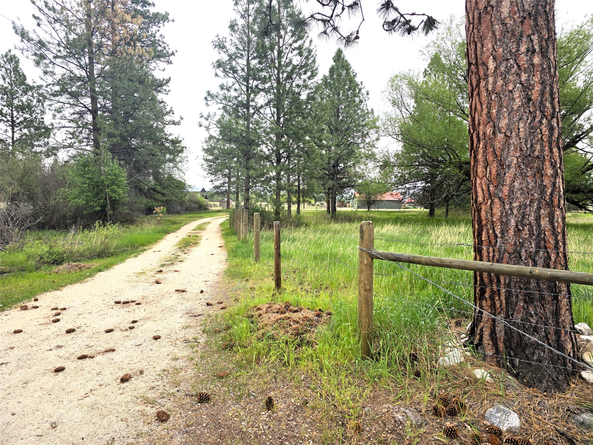 2037 Middle Bear Creek Road