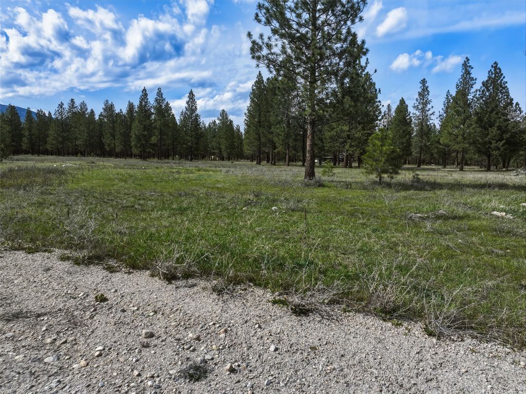 Photo of NHN mill Creek Road, Hamilton, MT 59840 (MLS # 30070269)