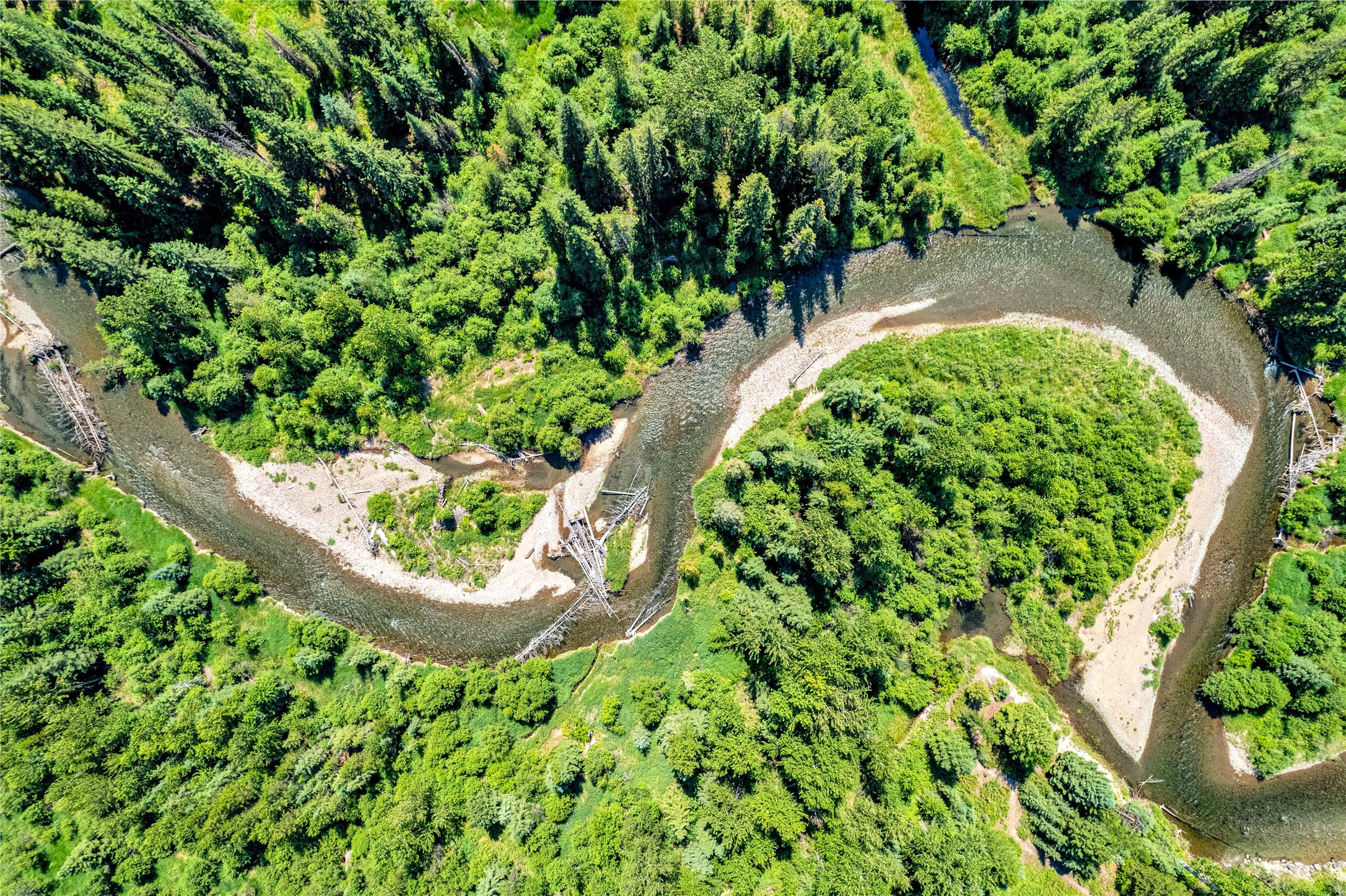 Condon, Montana 59826, United States, 3 Bedrooms Bedrooms, ,3 BathroomsBathrooms,Residential,Pending,60822