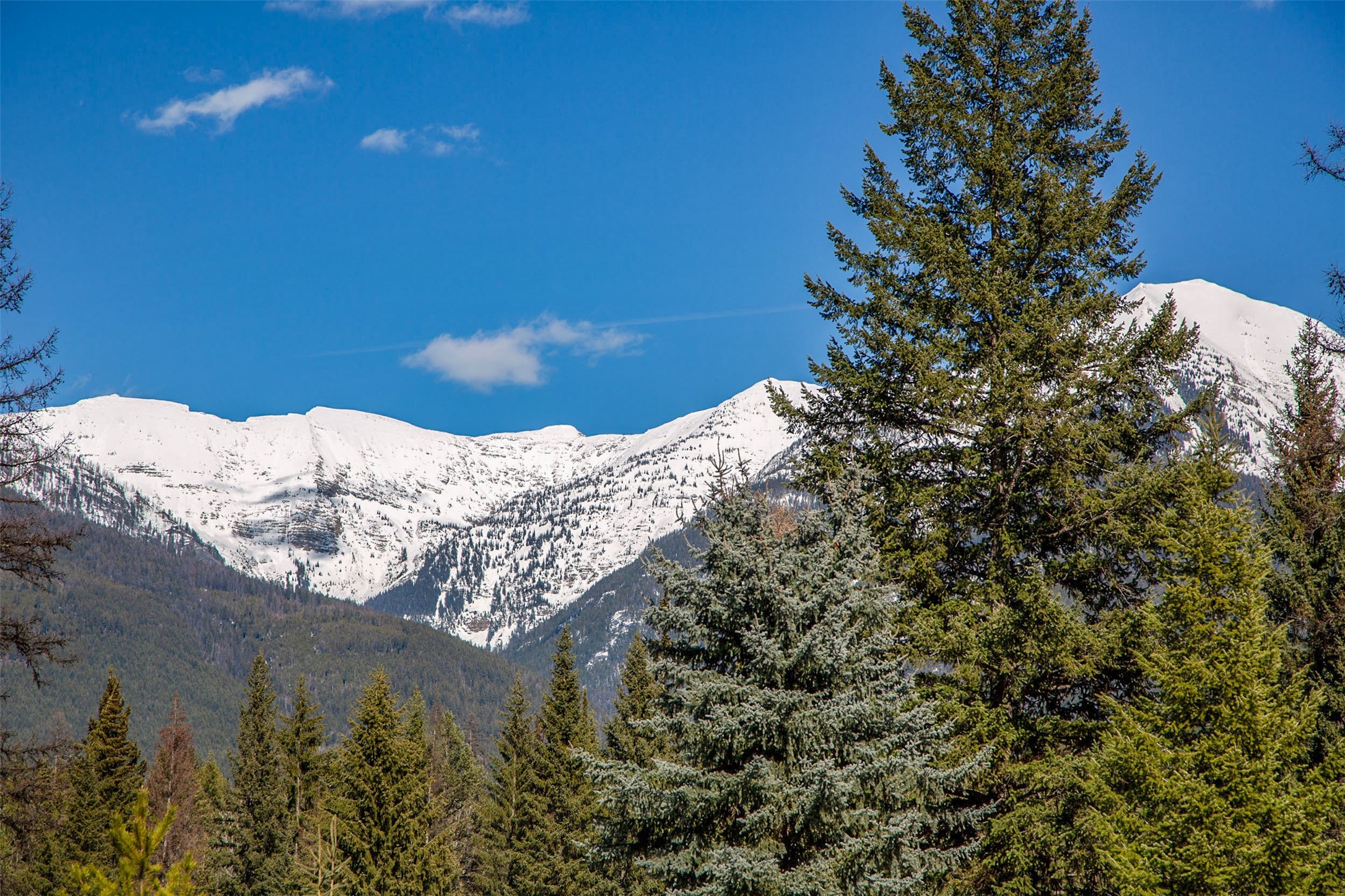 Condon, Montana 59826, United States, 3 Bedrooms Bedrooms, ,3 BathroomsBathrooms,Residential,Pending,60822