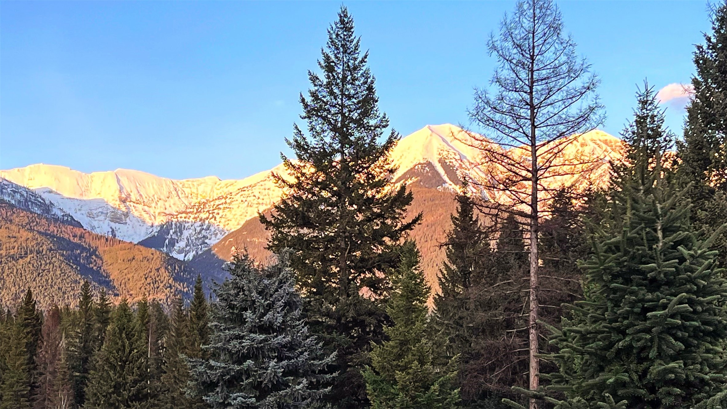 Condon, Montana 59826, United States, 3 Bedrooms Bedrooms, ,3 BathroomsBathrooms,Residential,Pending,60822