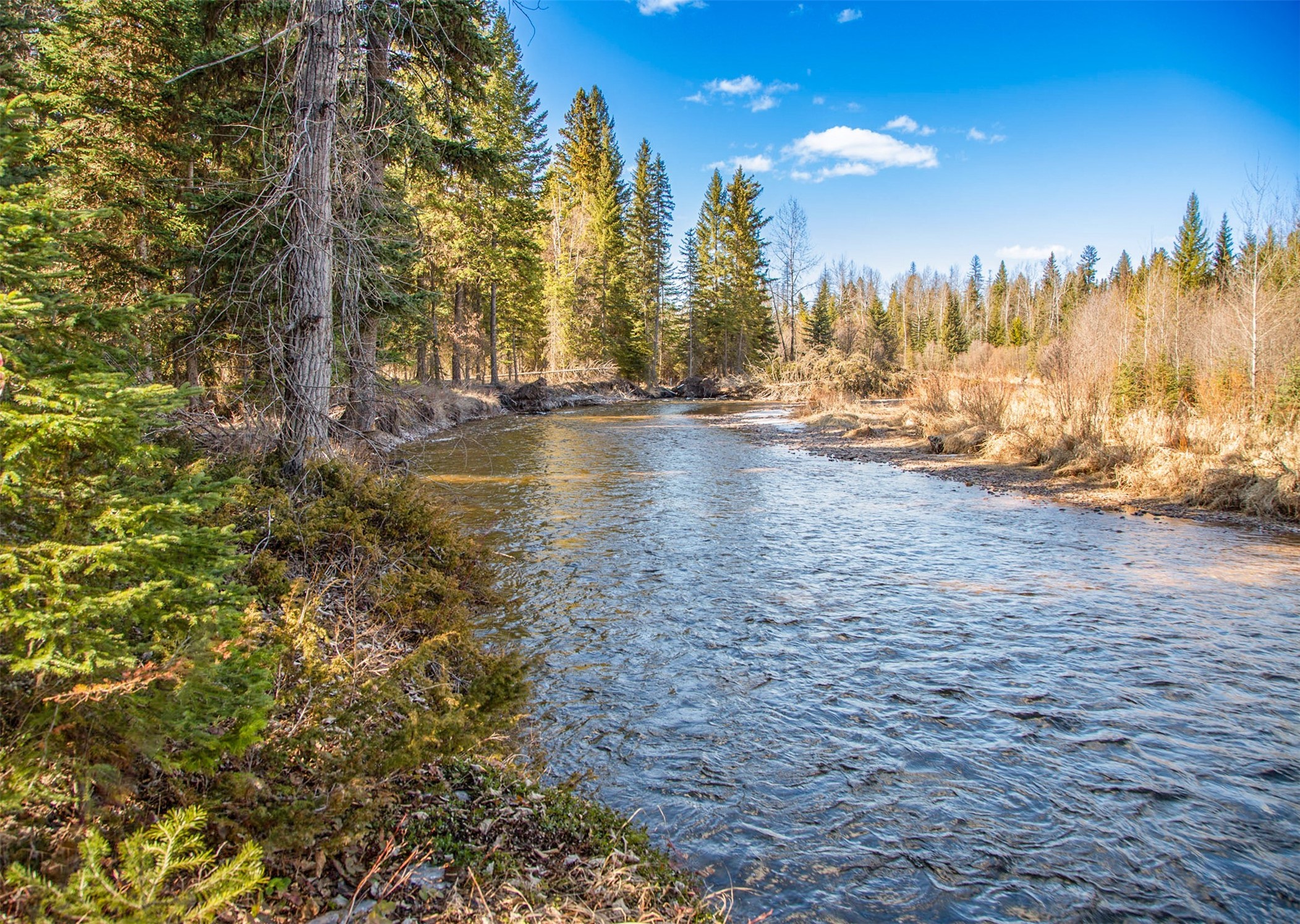Condon, Montana 59826, United States, 3 Bedrooms Bedrooms, ,3 BathroomsBathrooms,Residential,Pending,60822