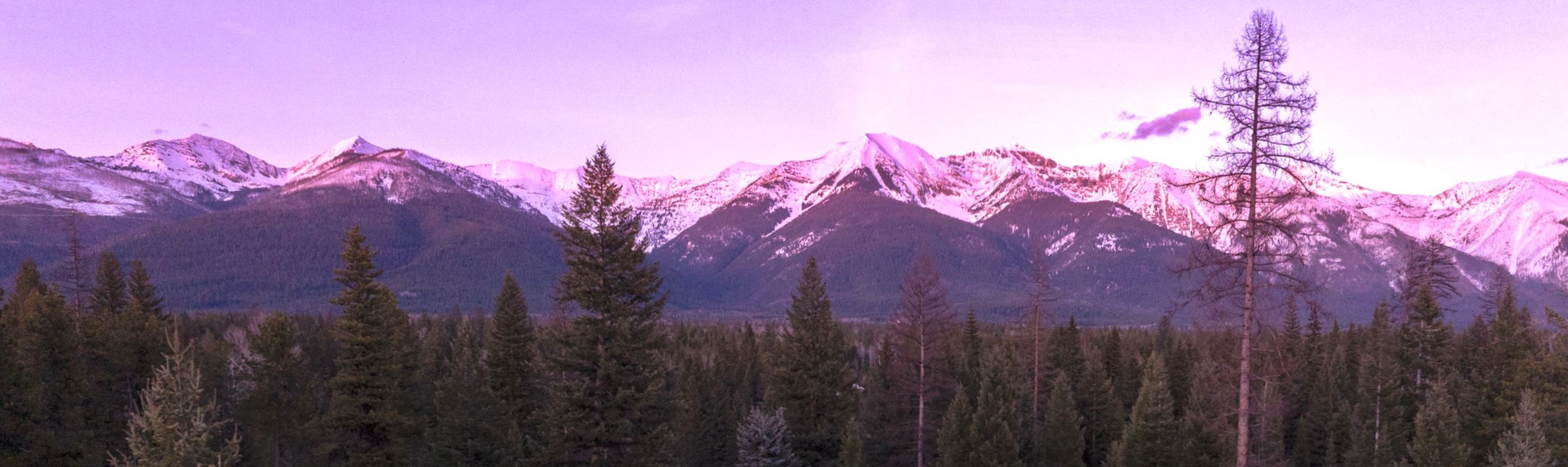 Condon, Montana 59826, United States, 3 Bedrooms Bedrooms, ,3 BathroomsBathrooms,Residential,Pending,60822