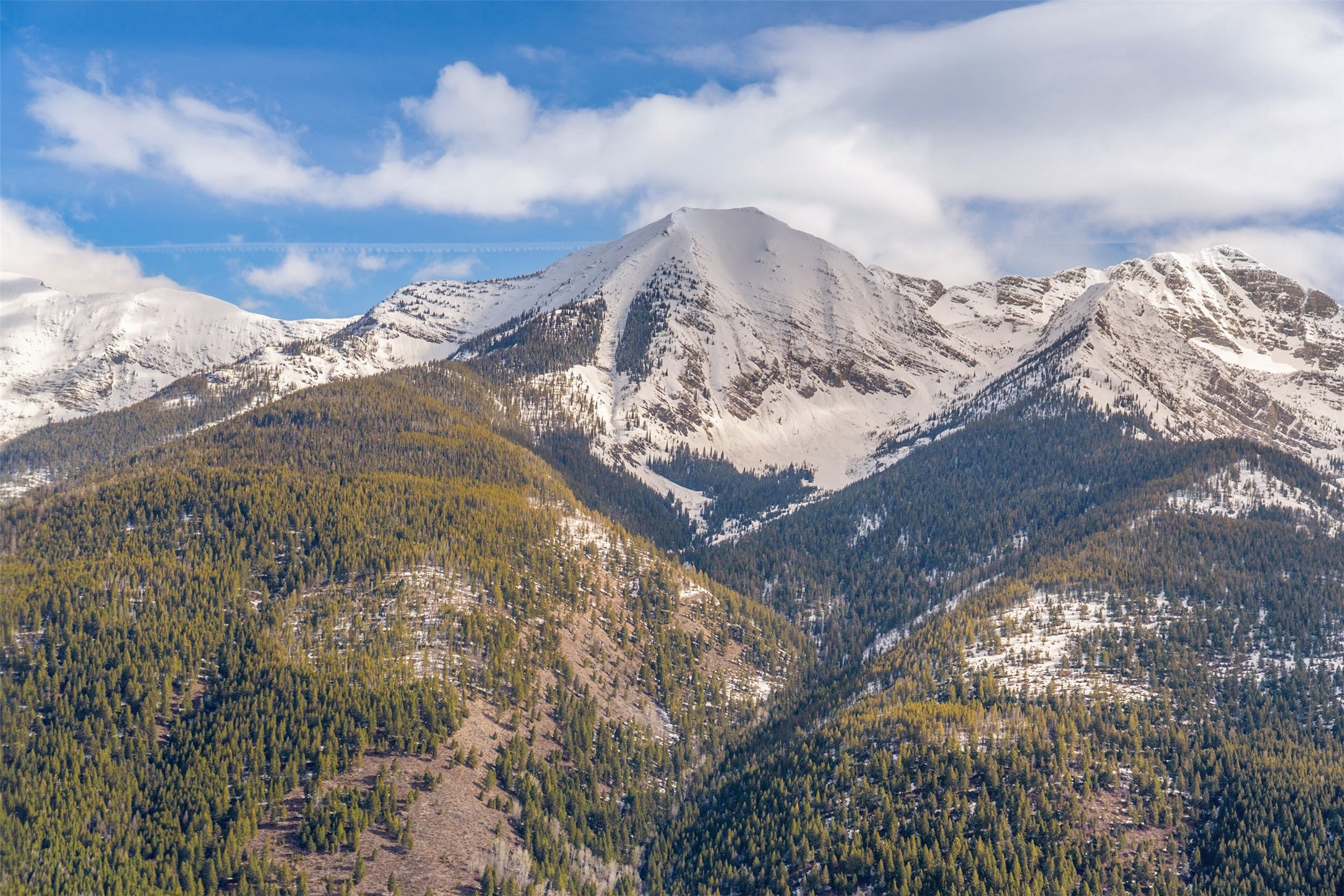 Condon, Montana 59826, United States, 3 Bedrooms Bedrooms, ,3 BathroomsBathrooms,Residential,Pending,60822