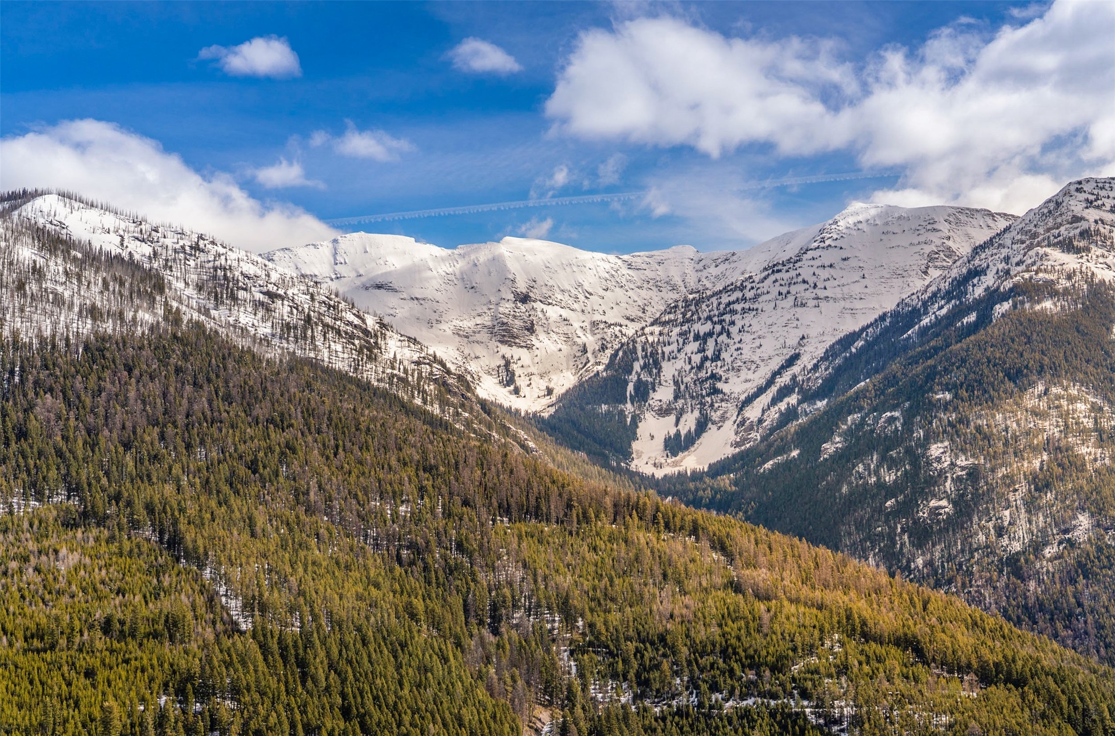 Condon, Montana 59826, United States, 3 Bedrooms Bedrooms, ,3 BathroomsBathrooms,Residential,Pending,60822