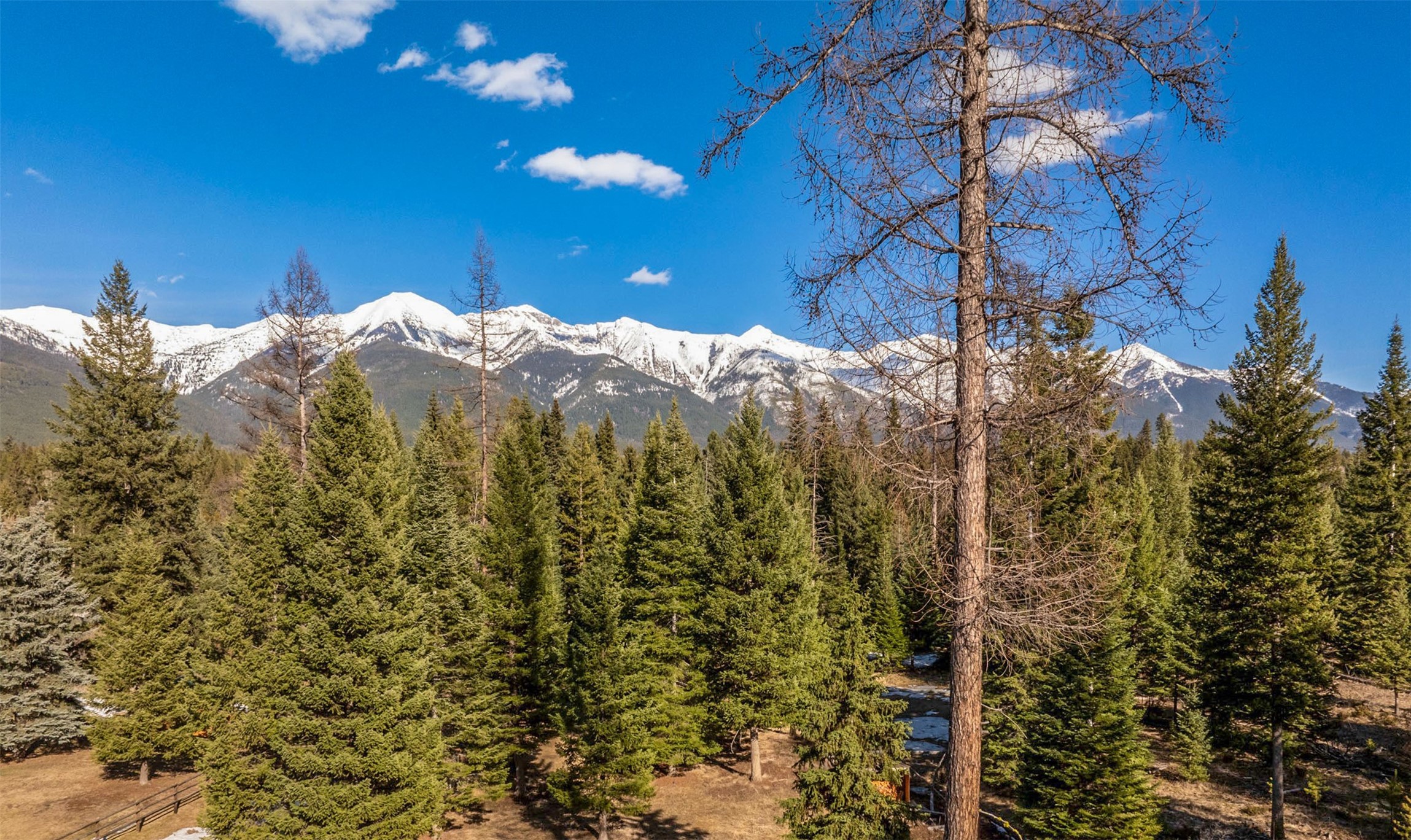 Condon, Montana 59826, United States, 3 Bedrooms Bedrooms, ,3 BathroomsBathrooms,Residential,Pending,60822