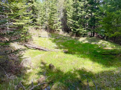 Tiny photo for 4 Buck Court, Trout Creek, MT 59874 (MLS # 30069231)