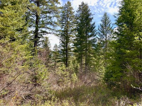 Tiny photo for 4 Buck Court, Trout Creek, MT 59874 (MLS # 30069231)