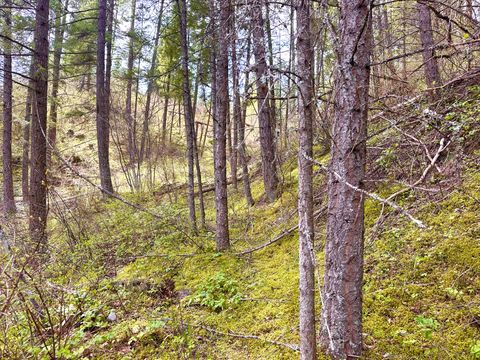 Tiny photo for 4 Buck Court, Trout Creek, MT 59874 (MLS # 30069231)