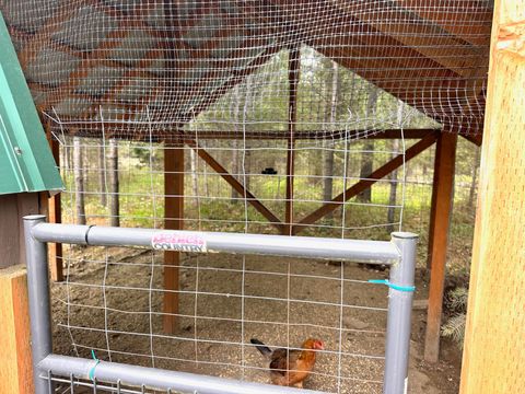 Tiny photo for 4 Buck Court, Trout Creek, MT 59874 (MLS # 30069231)