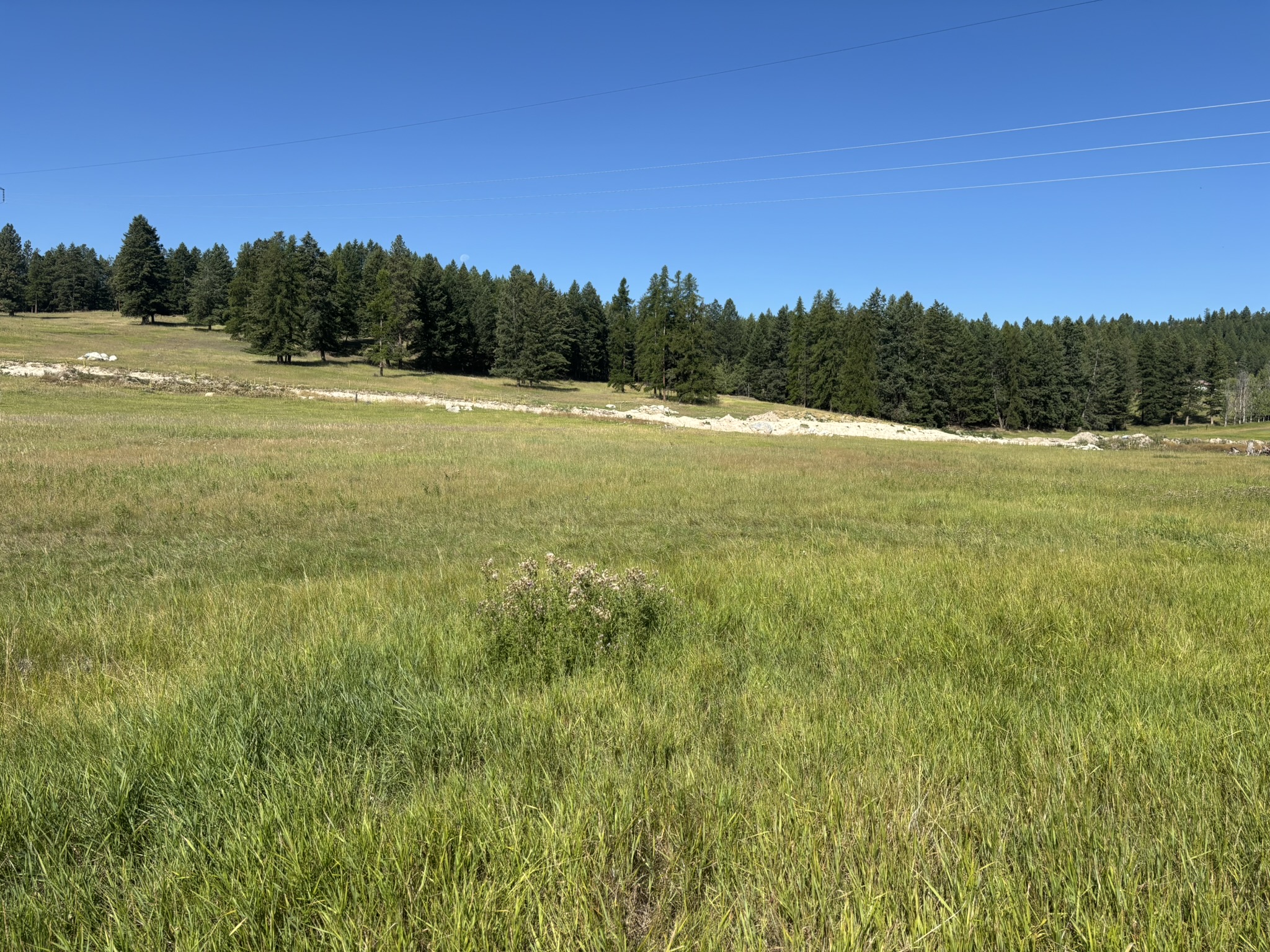 691 Morning View Drive