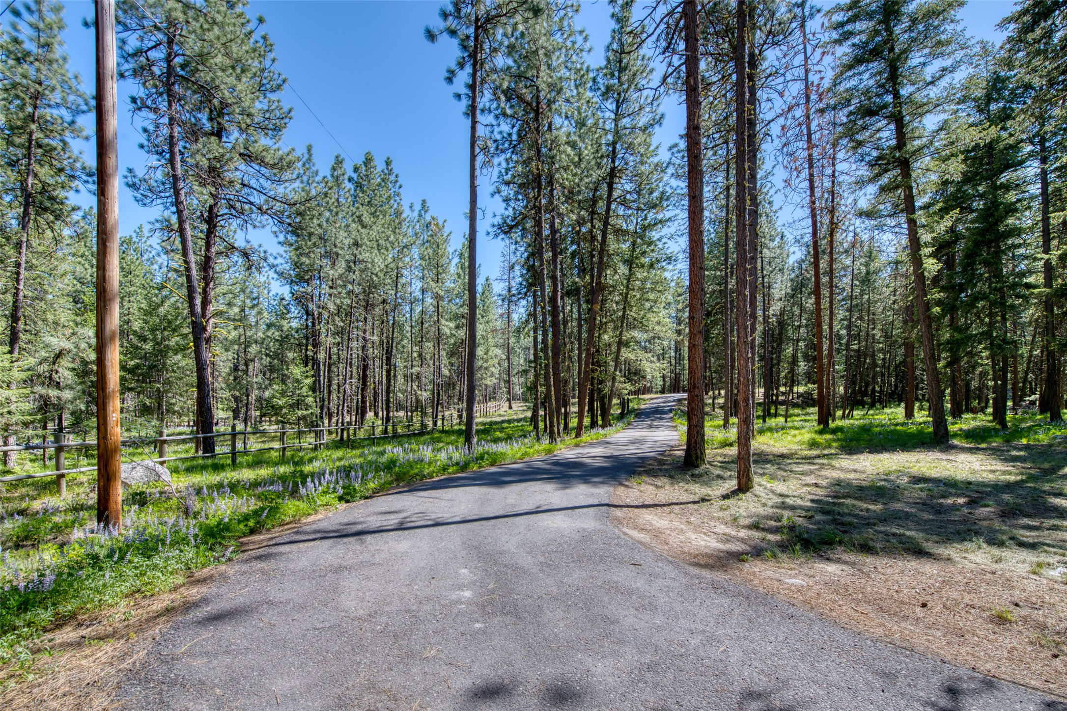 Victor, Montana 59875, United States, 6 Bedrooms Bedrooms, ,3 BathroomsBathrooms,Residential,Active,146217