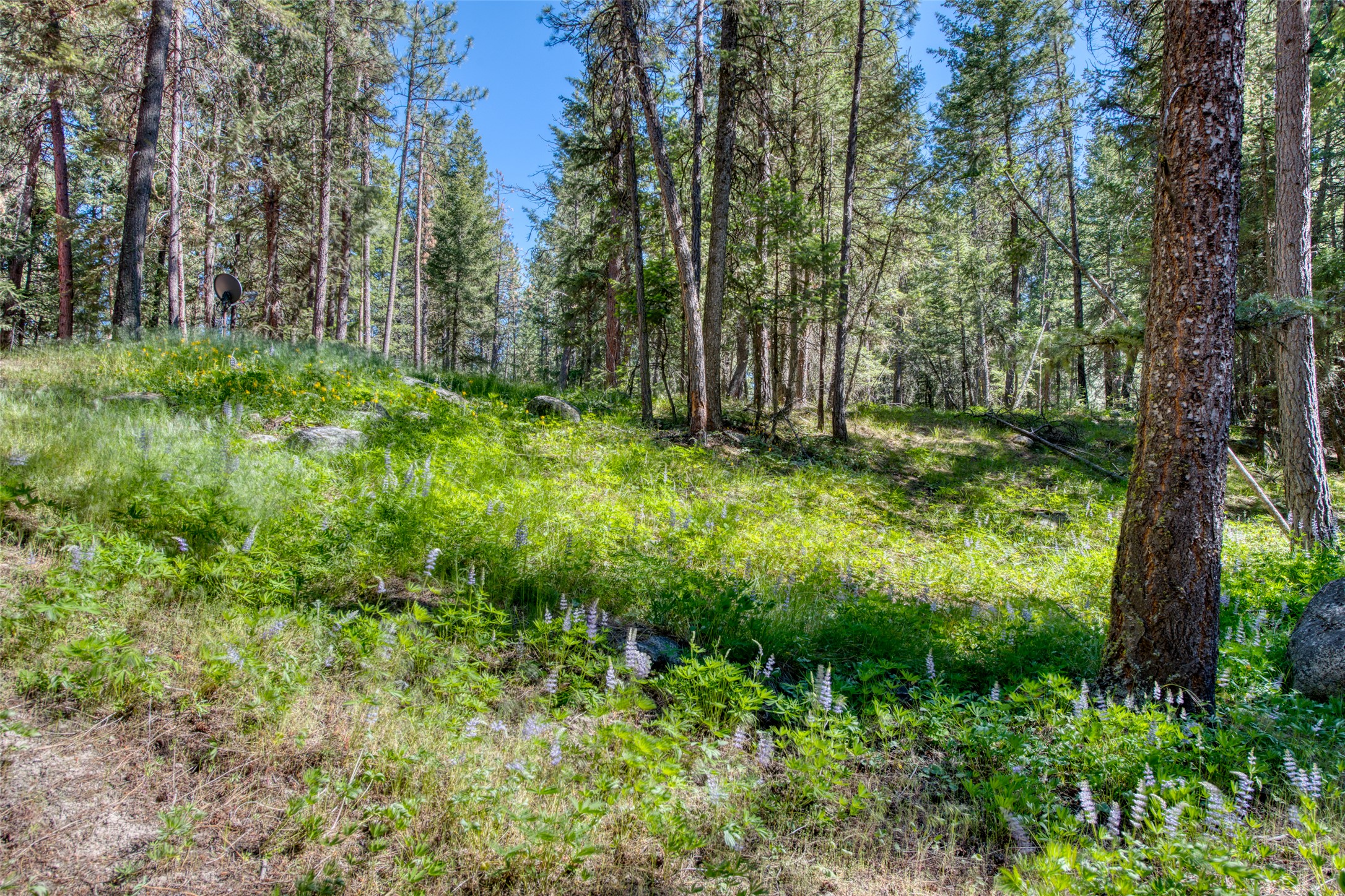 Victor, Montana 59875, United States, 6 Bedrooms Bedrooms, ,3 BathroomsBathrooms,Residential,Active,146217