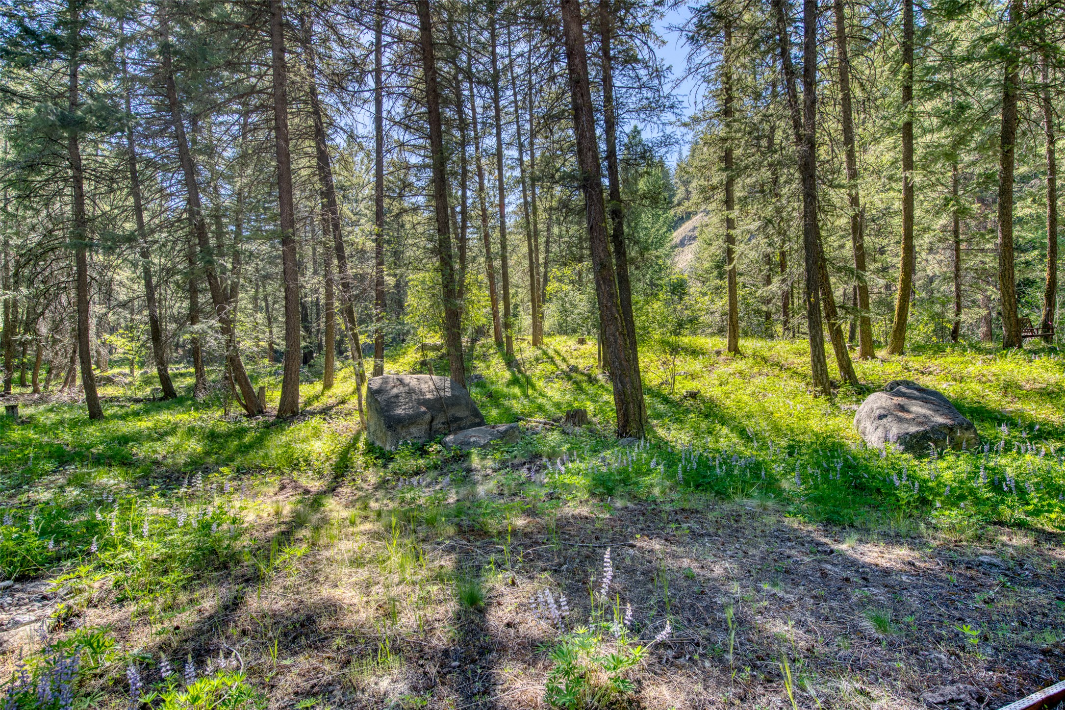 Victor, Montana 59875, United States, 6 Bedrooms Bedrooms, ,3 BathroomsBathrooms,Residential,Active,146217