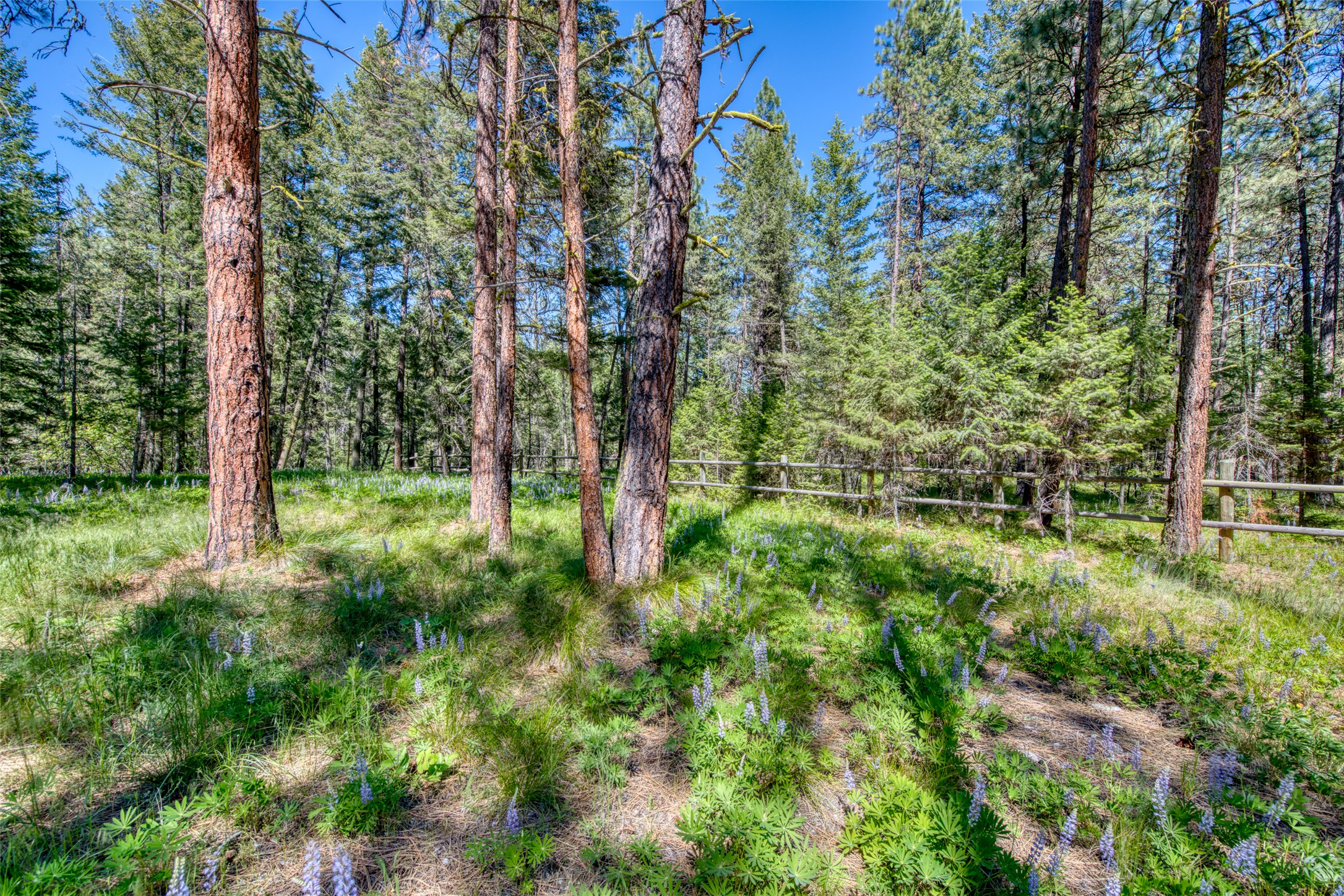 Victor, Montana 59875, United States, 6 Bedrooms Bedrooms, ,3 BathroomsBathrooms,Residential,Active,146217