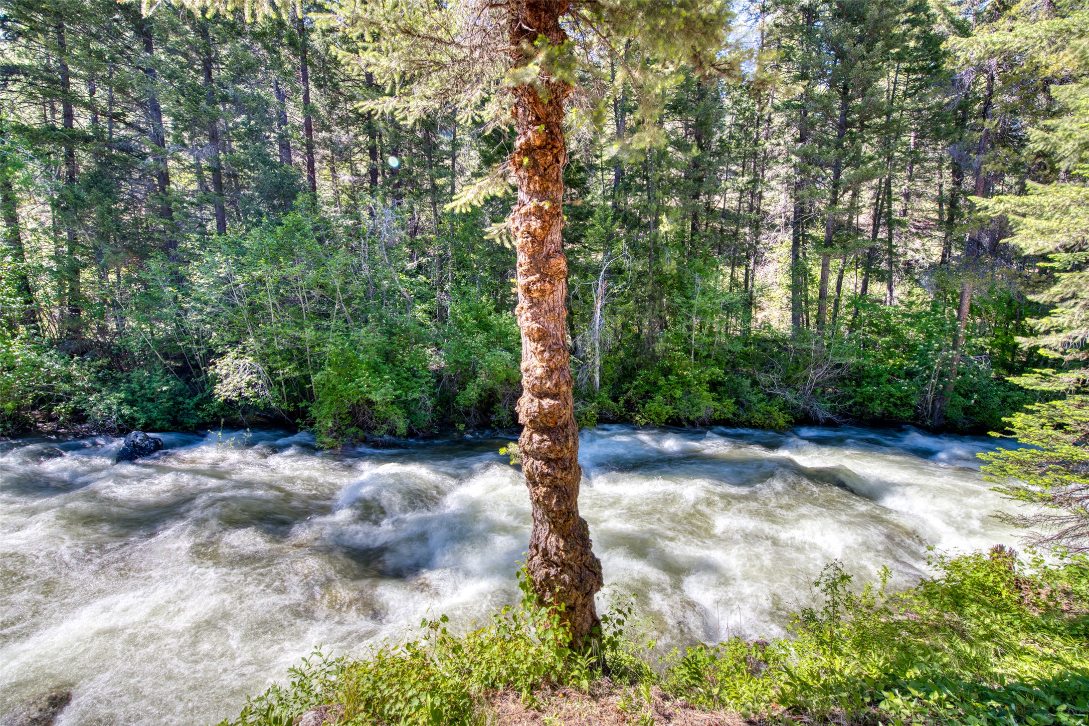 Victor, Montana 59875, United States, 6 Bedrooms Bedrooms, ,3 BathroomsBathrooms,Residential,Active,146217