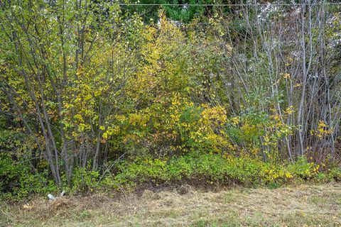 Tiny photo for 1327 1st Avenue E, Columbia Falls, MT 59912 (MLS # 30060843)