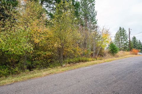 Tiny photo for 1327 1st Avenue E, Columbia Falls, MT 59912 (MLS # 30060843)