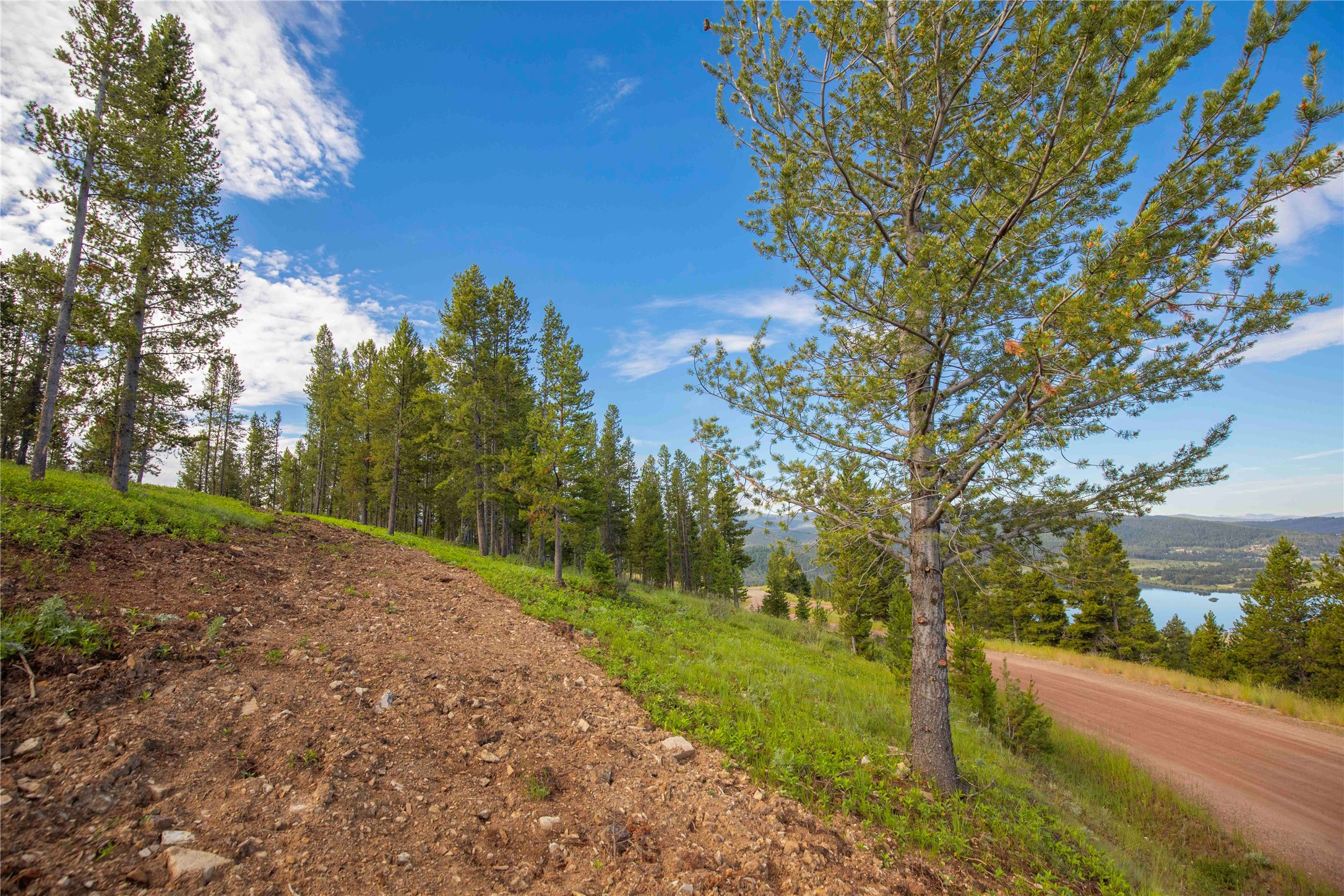 43 Elk Meadows Lane