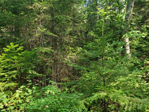 Tiny photo for 100/110 Browns Gulch Road, Kalispell, MT 59901 (MLS # 30051694)