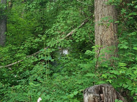 Tiny photo for 100/110 Browns Gulch Road, Kalispell, MT 59901 (MLS # 30051694)