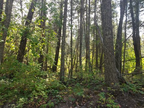 Tiny photo for 100/110 Browns Gulch Road, Kalispell, MT 59901 (MLS # 30051694)