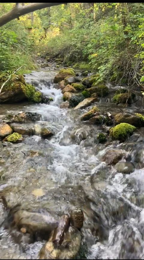 Tiny photo for 100/110 Browns Gulch Road, Kalispell, MT 59901 (MLS # 30051694)