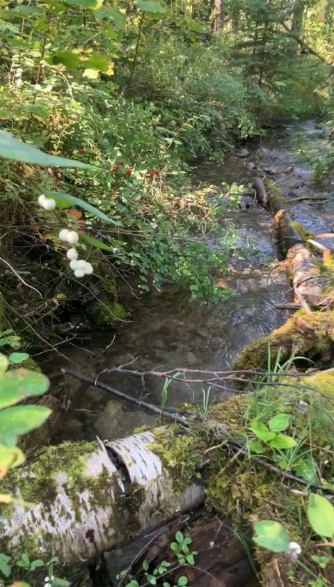 Tiny photo for 100/110 Browns Gulch Road, Kalispell, MT 59901 (MLS # 30051694)