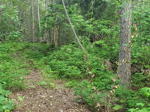 Tiny photo for 100/110 Browns Gulch Road, Kalispell, MT 59901 (MLS # 30051694)
