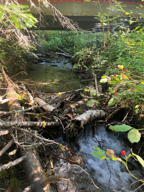 Tiny photo for 100/110 Browns Gulch Road, Kalispell, MT 59901 (MLS # 30051694)