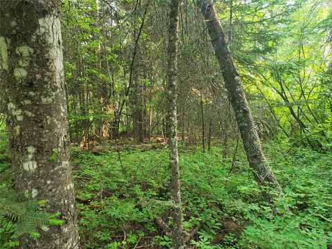 Tiny photo for 100/110 Browns Gulch Road, Kalispell, MT 59901 (MLS # 30051694)